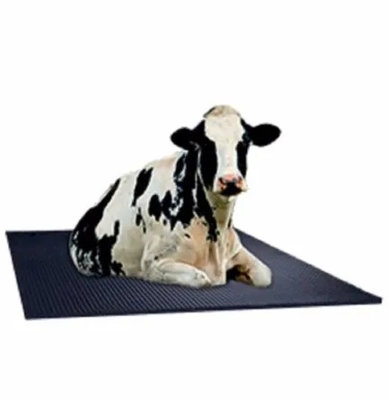 rubber mat for cow 2.jpg (31 KB)